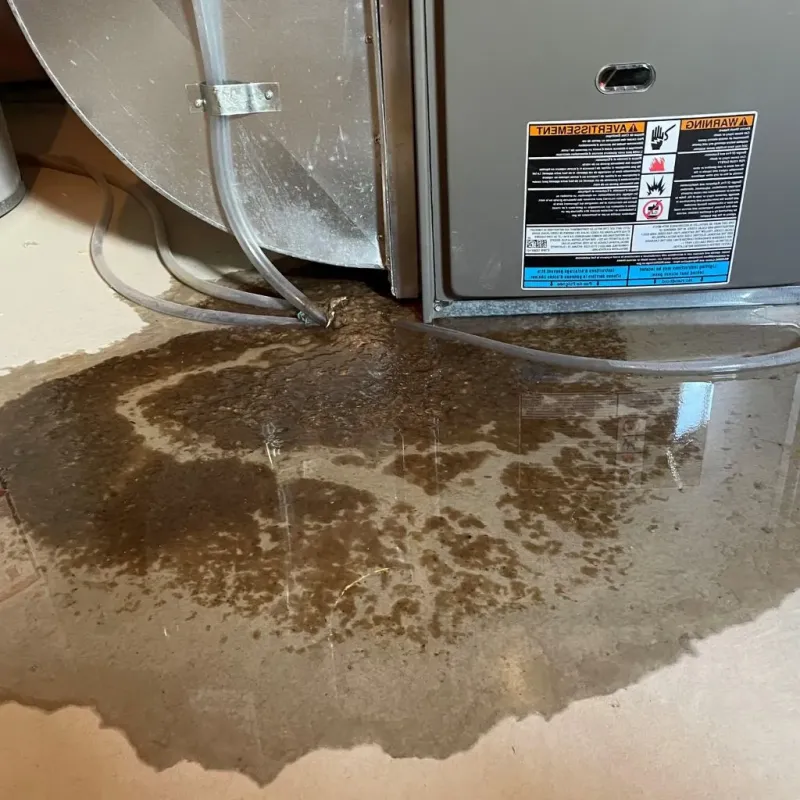 Pipe Burst and Leak Restoration in Wynnewood, OK