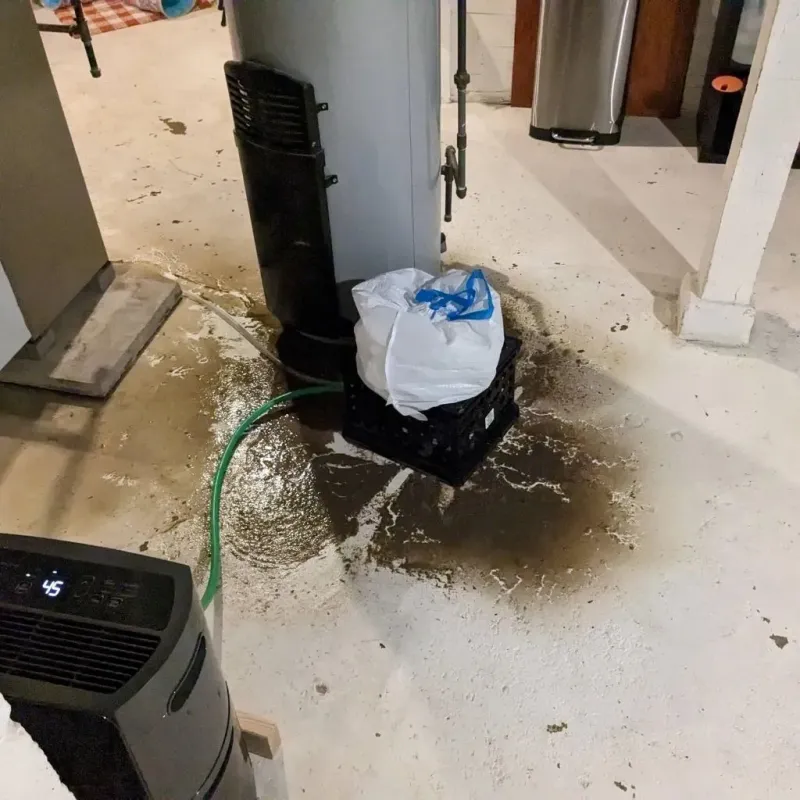 Sewage Backup Cleanup Service in Wynnewood, OK